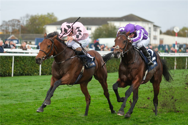 HOTAZHELL winning the Futurity Trophy Stakes at Doncaster in England.