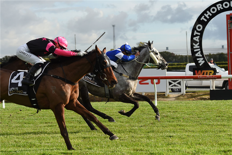 Hula Beat (inside) edges clear of Diamond Jak to win the Callinan Family Taumarunui RSA Gold Cup (2200m) at Te Rapa.