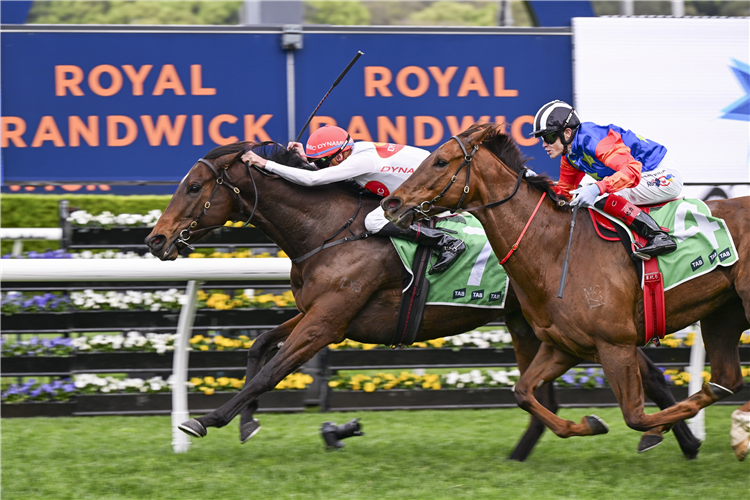 I AM ME winning the SOUTHERN CROSS GROUP CONCORDE STAKES at Randwick in Australia.