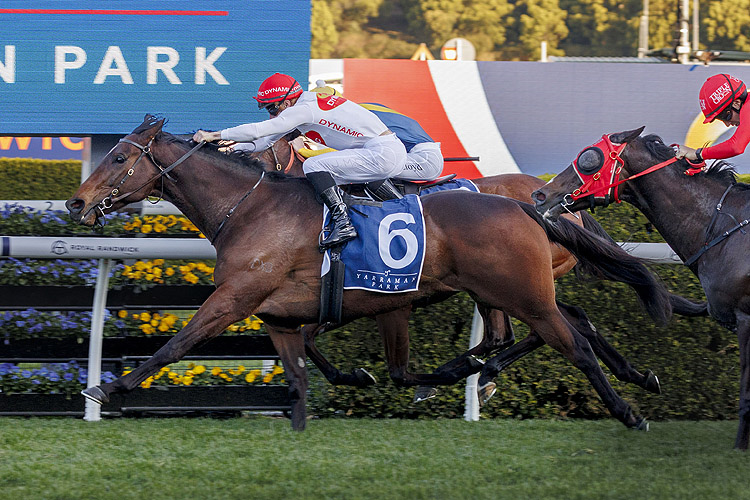 I AM ME winning the YARRAMAN PARK SHORTS at Randwick in Australia.