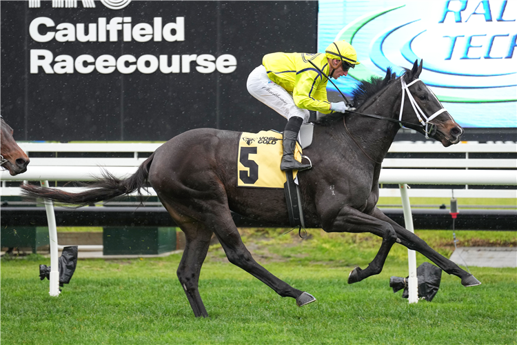 I AM VELVET winning the VOBIS Gold Ingot at Caulfield in Australia.