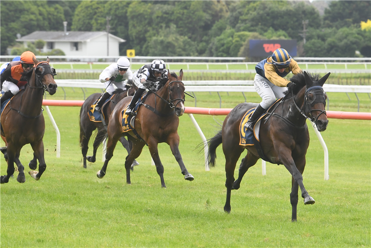 IDYLLIC winning the ROSE CITY CARS LEVIN STAKES