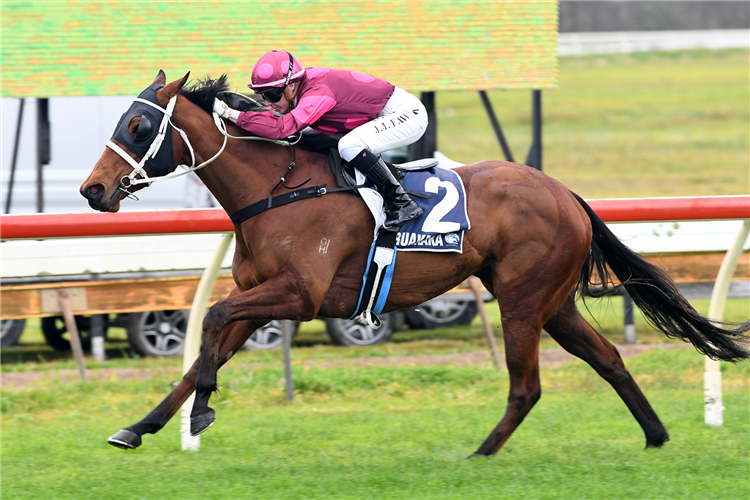 ILLICIT DREAMS winning the MOUNTFIELD QUARRY