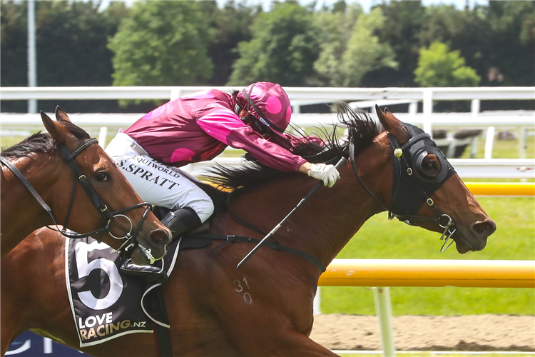 ILLICIT DREAMS winning the DONALDSON BROWN PEGASUS STAKES