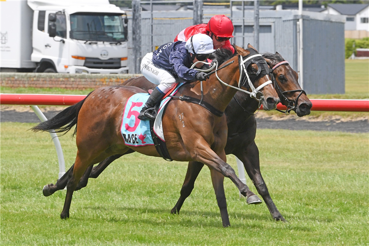 INTENTION winning the HAPPY HIRE WAKEFIELD CHALLENGE STAKES