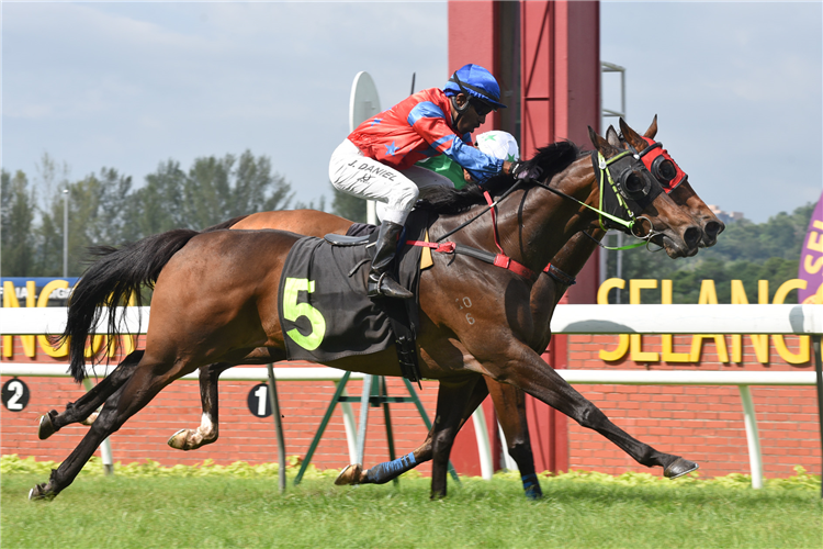 INTREPID winning the Aug 04 2024 Selangor Meeting Race 8 (744) : Class SUP C - 1400M [lc-E] Prize Money :RM 35000 16:15 WIN TIME : 1:24.3