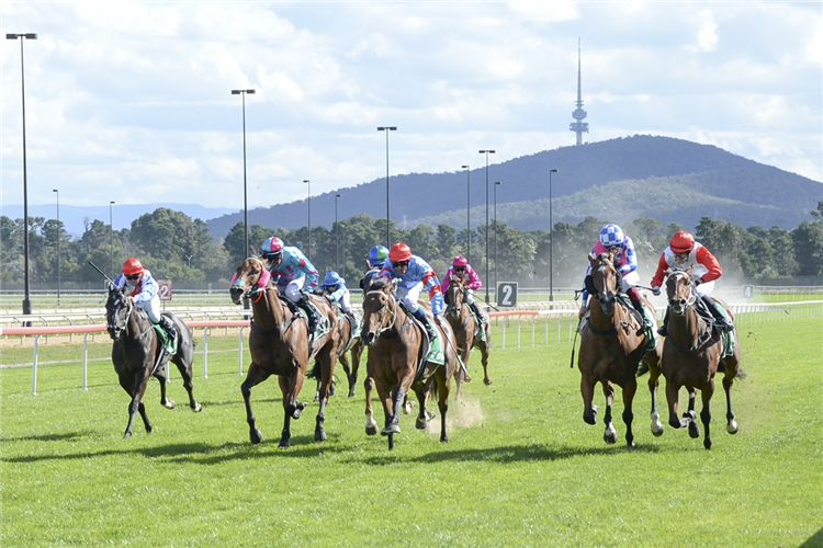 Invertational (far right) wins at Thoroughbred Park in 2023.