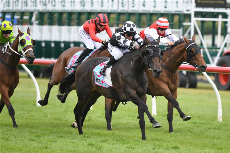 ISLINGTON LASS winning the HUMPHRIES CONSTRUCTION MANAWATU CUP