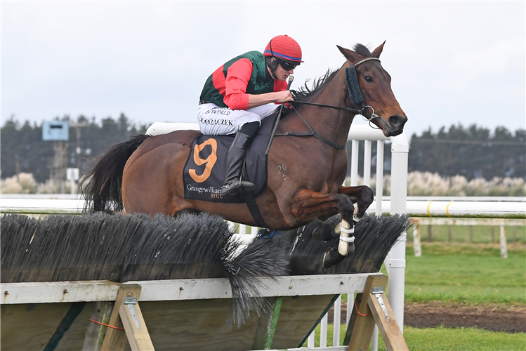 JAKAMA KRYSTAL winning the CLAYTON YAXLEY MAIDEN STEEPLECHASE