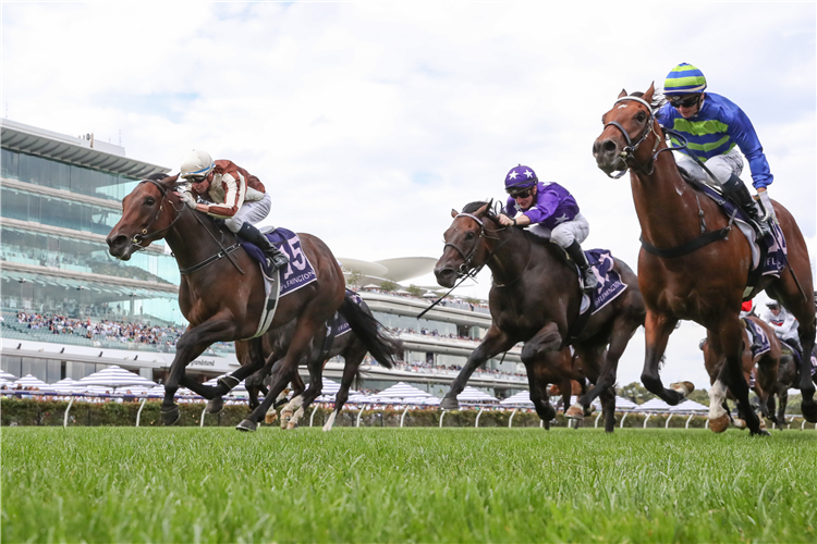Japanese Emperor (purple colours) finished third in last year’s Australian Guineas
