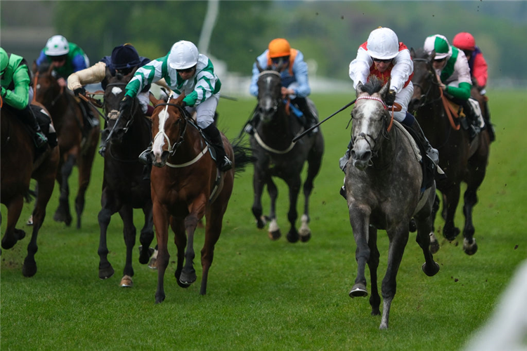 JASOUR (right, white cap) winning the Commonwealth Cup Trial Stakes at Ascot in England.