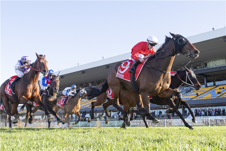 JOJO WAS A MAN winning the TOYOTA FORKLIFTS WINTER CHALLENGE at Rosehill in Australia.