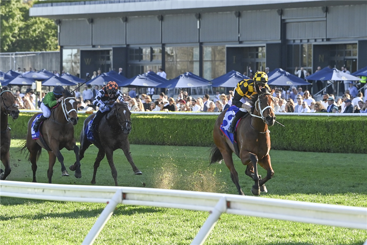 JOLIESTAR winning the HYLAND RACE COLOURS SHOW COUNTY QUALITY at Randwick in Australia.