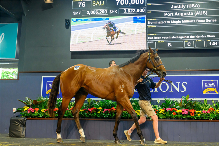 The $700,000 Justify colt who topped the Magic Millions 2YO Sale.