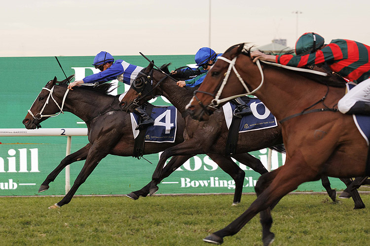 KAZOU winning the ROSEHILL BOWLING CLUB HANDICAP