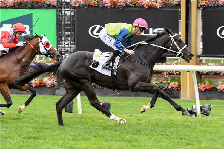 KEENELAND winning the ABC Bullion Super Impose Stakes at Flemington in Australia.