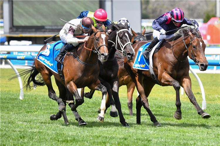 KINGOFWALLSTREET winning the Sportsbet Classic at Caulfield in Australia.