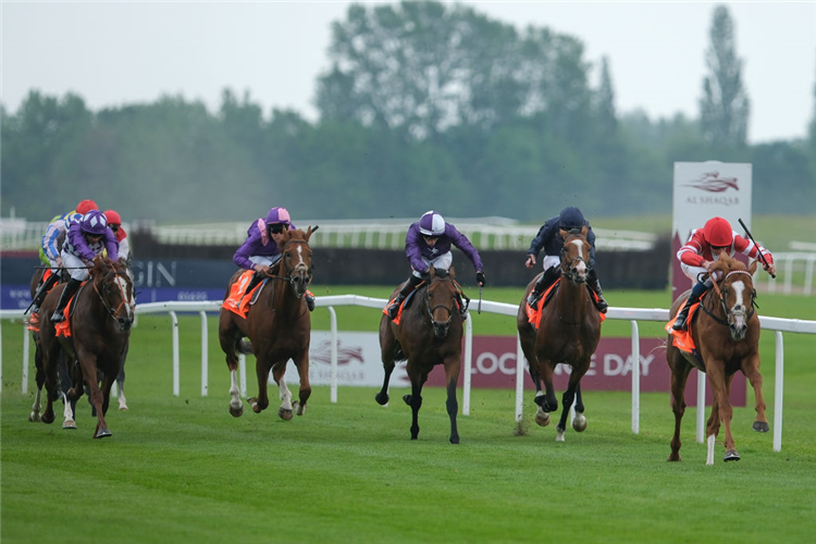 KING'S GAMBIT (right, red cap) winning the London Gold Cup Handicap at Newbury in England.