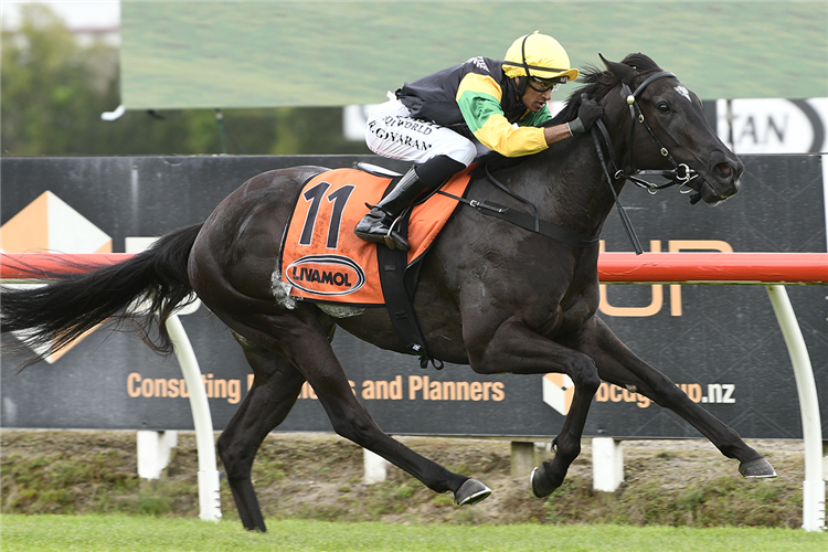 KITTY FLASH winning the COLLIERS COMMERCIAL 3YO