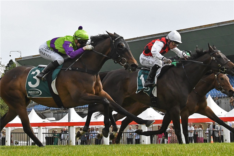 LA CRIQUE winning the DUNSTAN HORSEFEEDS AUCKLAND THOROUGHBRED BREEDERS' STAKES