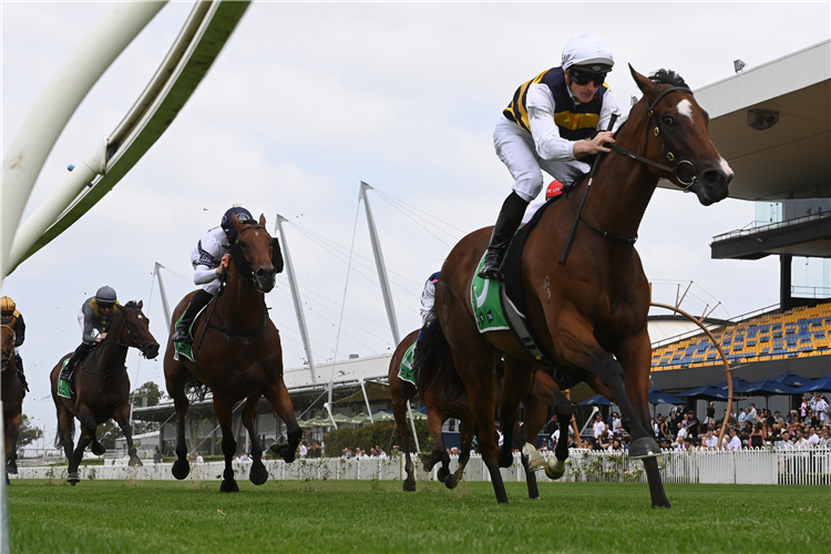 LADY LAGUNA winning the Southern Cross Stakes at Rosehill