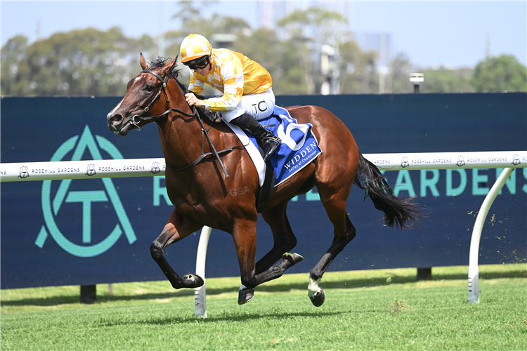 Lady Of Camelot winning the Widden Stakes at Rosehill in Australia.