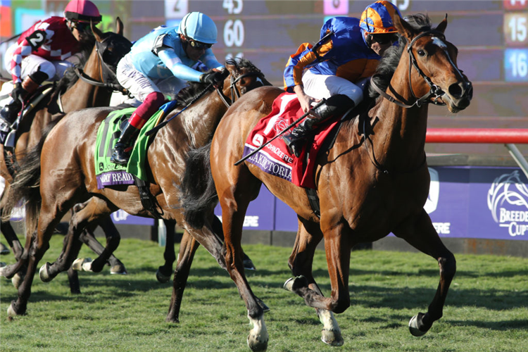 LAKE VICTORIA winning the Breeders Cup Juvenile Fillies Turf at Del Mar, California.