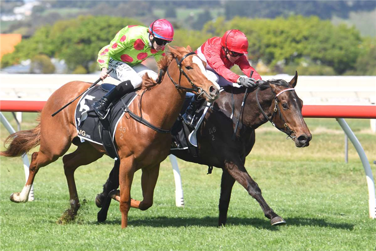 LANDLOCK winning the PILET CONTRACTING LTD / PIONEER SEEDS 2YO