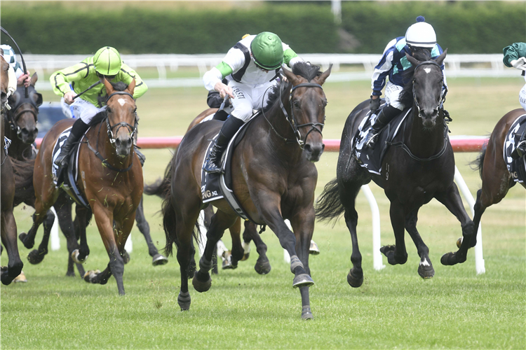 LANIKAI winning the MORT WEBBER - GOOD SORTS IN RACING