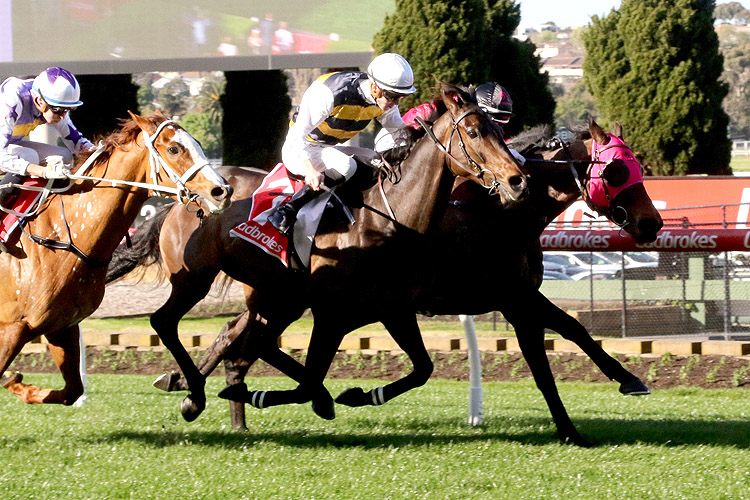 LAUDING winning the Dr Bernard Clarke Memorial Handicap