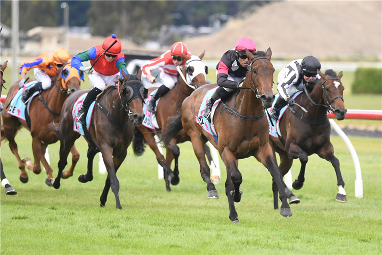 LEICA LUCY winning the LAWNMASTER EULOGY STAKES