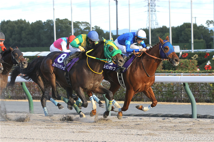 LEMON POP (white cap) winning the Champions Cup at Chukyo in Japan.