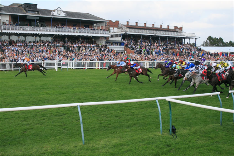 LETHAL LEVI winning the Ayr Gold Cup at Ayr in England.