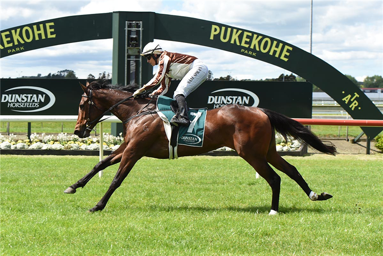 LEVAKIA winning the DUNSTAN HORSEFEEDS