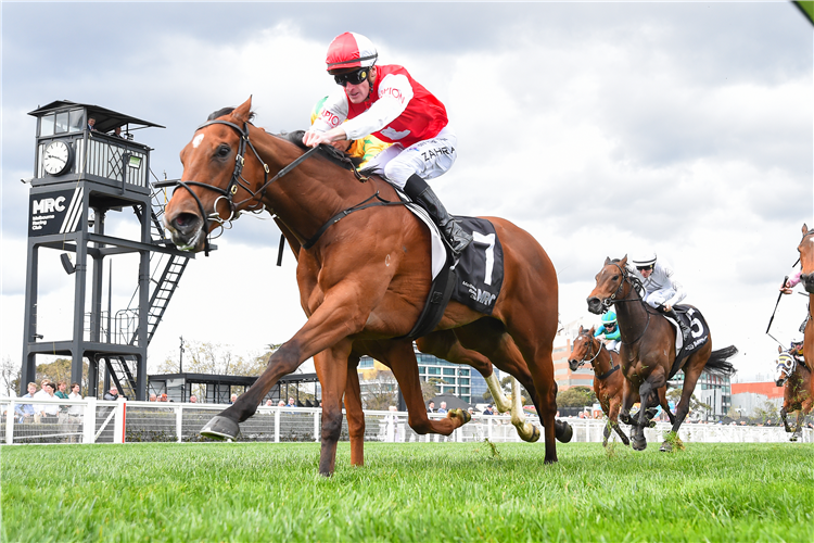 LILAC winning the NJT Jim Moloney Stakes at Caulfield in Australia.