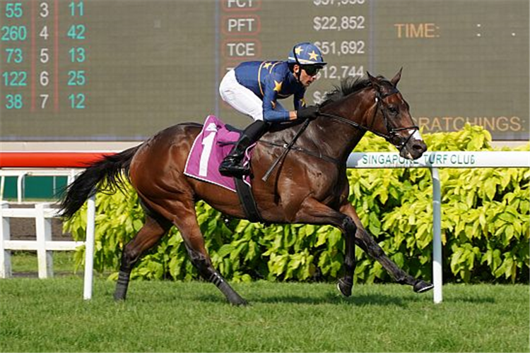 LIM'S KOSCIUSZKO winning the LION CITY CUP GROUP 1