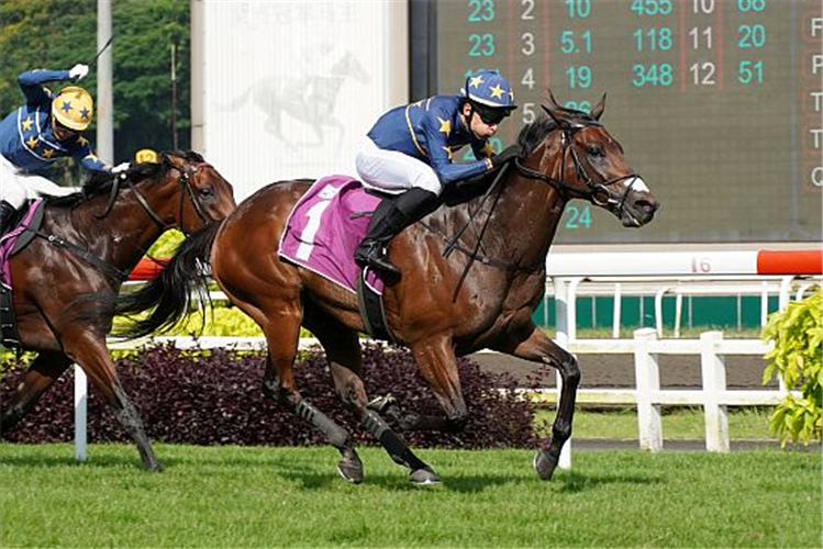 LIM'S KOSCIUSZKO winning the QUEEN ELIZABETH II CUP GROUP 1