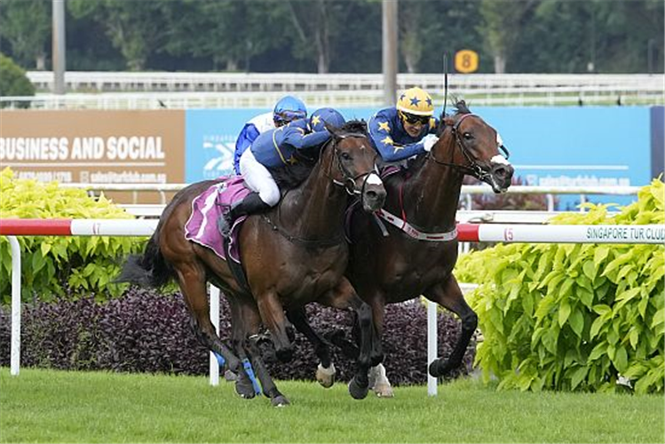 LIM'S SALTORO winning the RAFFLES CUP GROUP 1