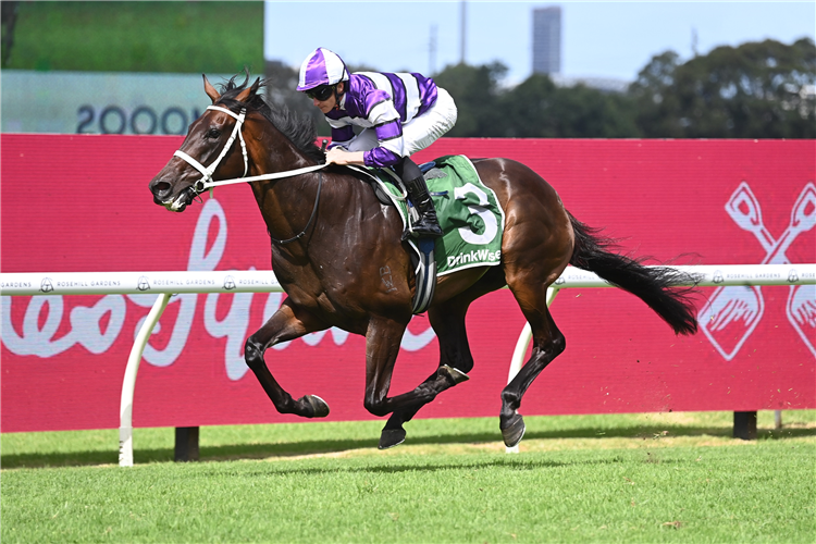 LINDERMANN winning the JAMES SQUIRE SKY HIGH STAKES at Rosehill in Australia.