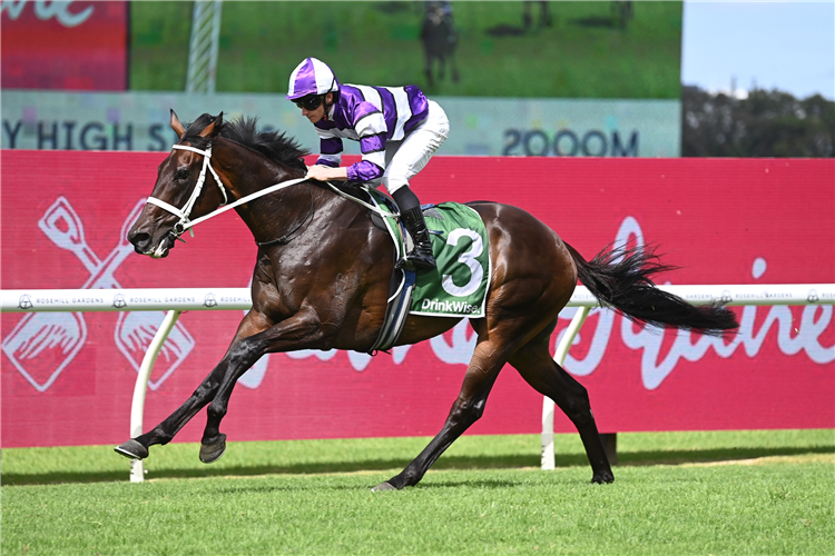 LINDERMANN winning the Sky High Stakes at Rosehill in Australia.