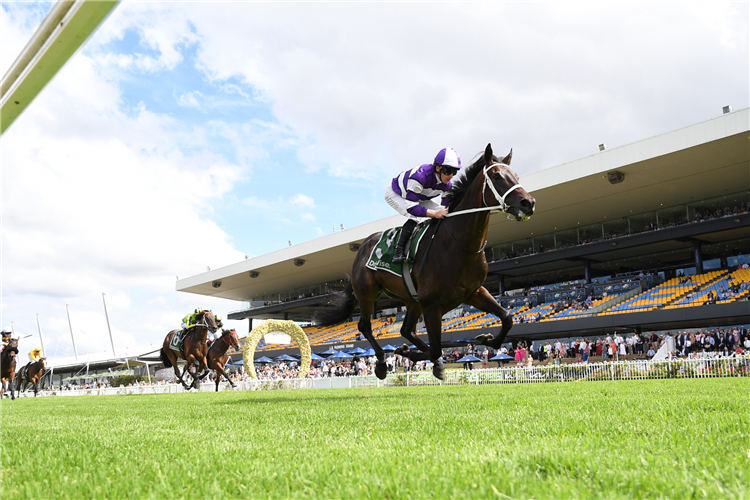 LINDERMANN winning the JAMES SQUIRE SKY HIGH STAKES at Rosehill in Australia.