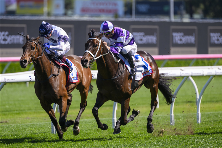LINDERMANN winning the CINCOTTA CHEMIST CRAVEN PLATE at Randwick in Australia.