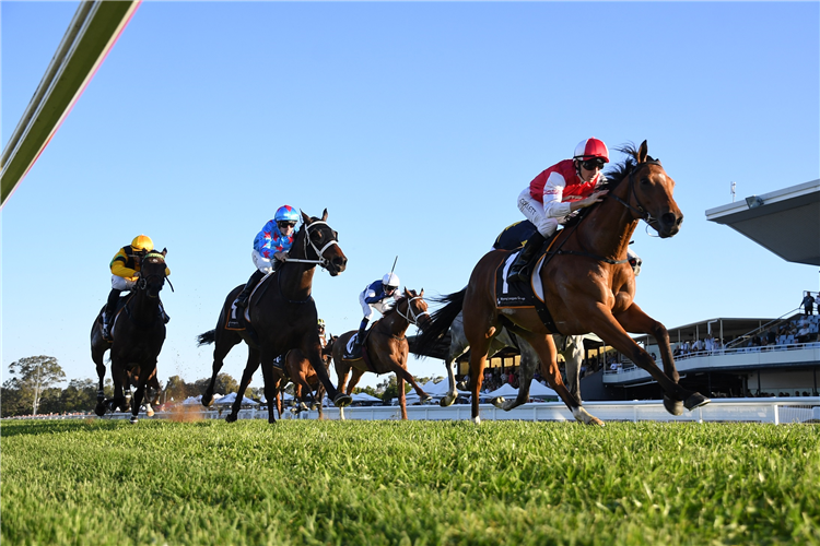 LION'S ROAR winning the Wyong Leagues Group Wyong Cup at Wyong in Australia.