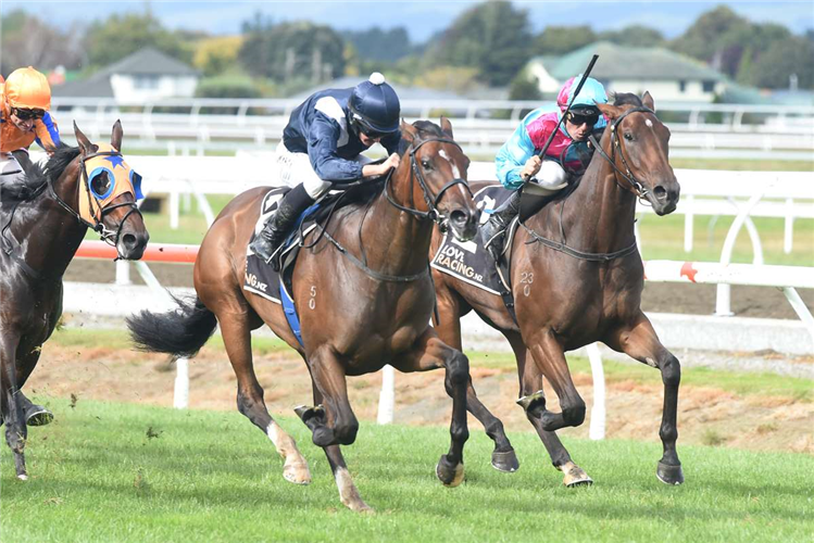 Little Thief, a half-brother to multiple Group One performer To Catch A Thief (pictured, inside), will line-up at Matamata on Wednesday.