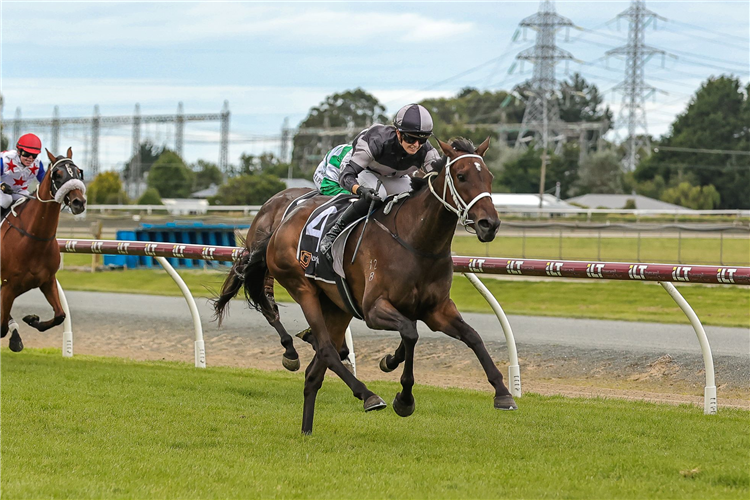 LOCHNABERRY winning the BAILLIE & LEWIS PHARMACY INVERCARGILL GOLD CUP