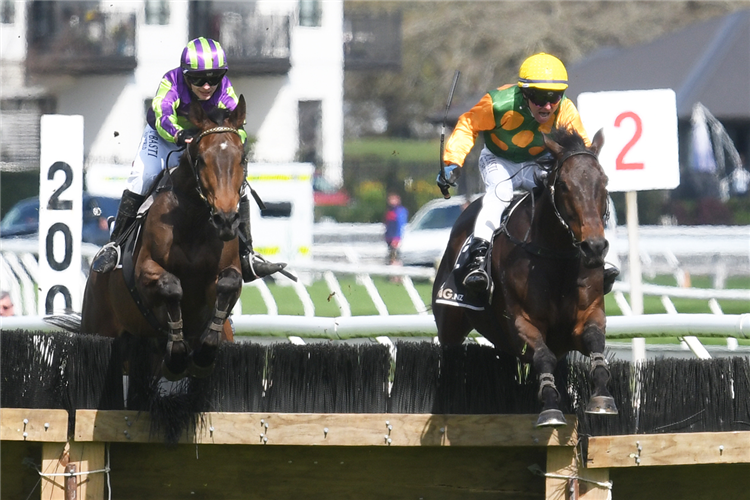 LORD SPENCER (left) winning the PETER KELLY - BAYLEYS GREAT NORTHERN HURDLE