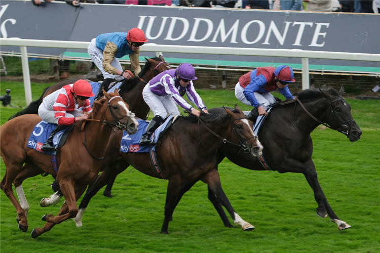 LOS ANGELES winning the Voltigeur Stakes at York in England.