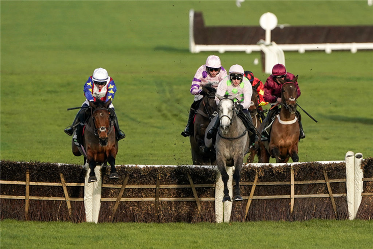 LOSSIEMOUTH (centre, pink cap) winning the International Hurdle at Cheltenham in England.