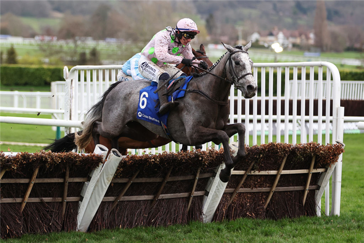 LOSSIEMOUTH winning the Close Brothers Mares' Hurdle at Cheltenham in Cheltenham, England.