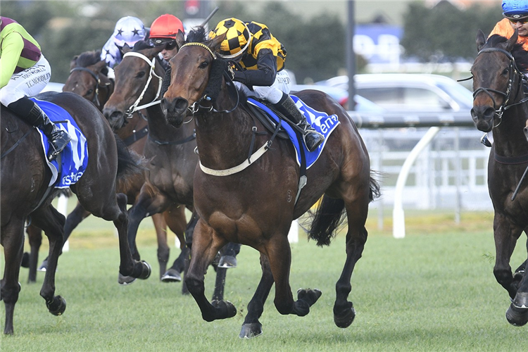 LUBERON winning the SISTEMA